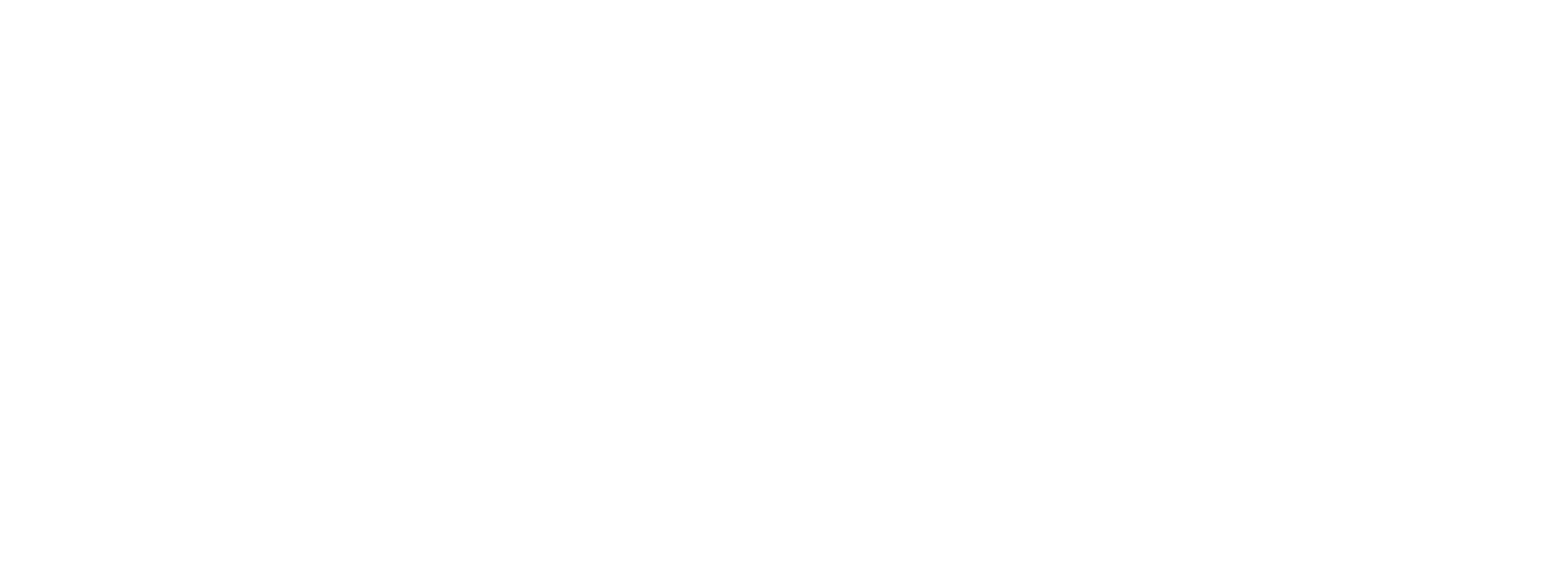 AegisWard_blanco_logo_transparent